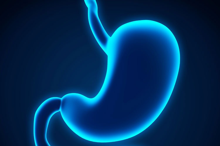 Duodenum: the first part of small intestine located between the stomach & middle part of small intestine.